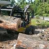 storm damaged tree removal buchanan va