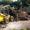 damaged maple tree removal buchanan va